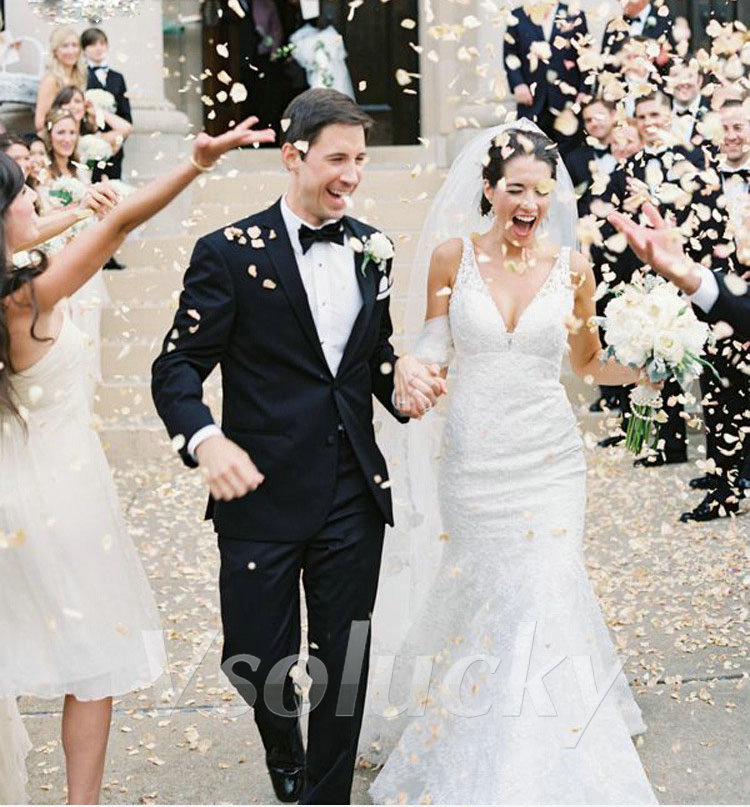 100 pçs pétalas de rosa de sed - Supply Wedding Venue avaliação e preço