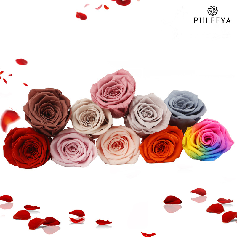 Cabeças de flores de rosas ete - Wedding Supply Bulk avaliação e preço